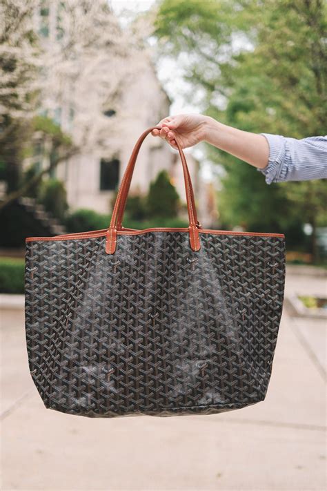 goyard anjou gray|goyard anjou vs st louis.